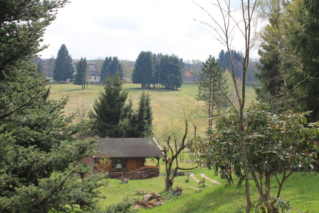 Hotel Zur Erholung Braunlage Esterno foto